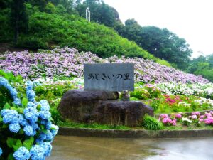 三ヶ根山スカイラインを走り、初夏の西三河でアジサイめぐり