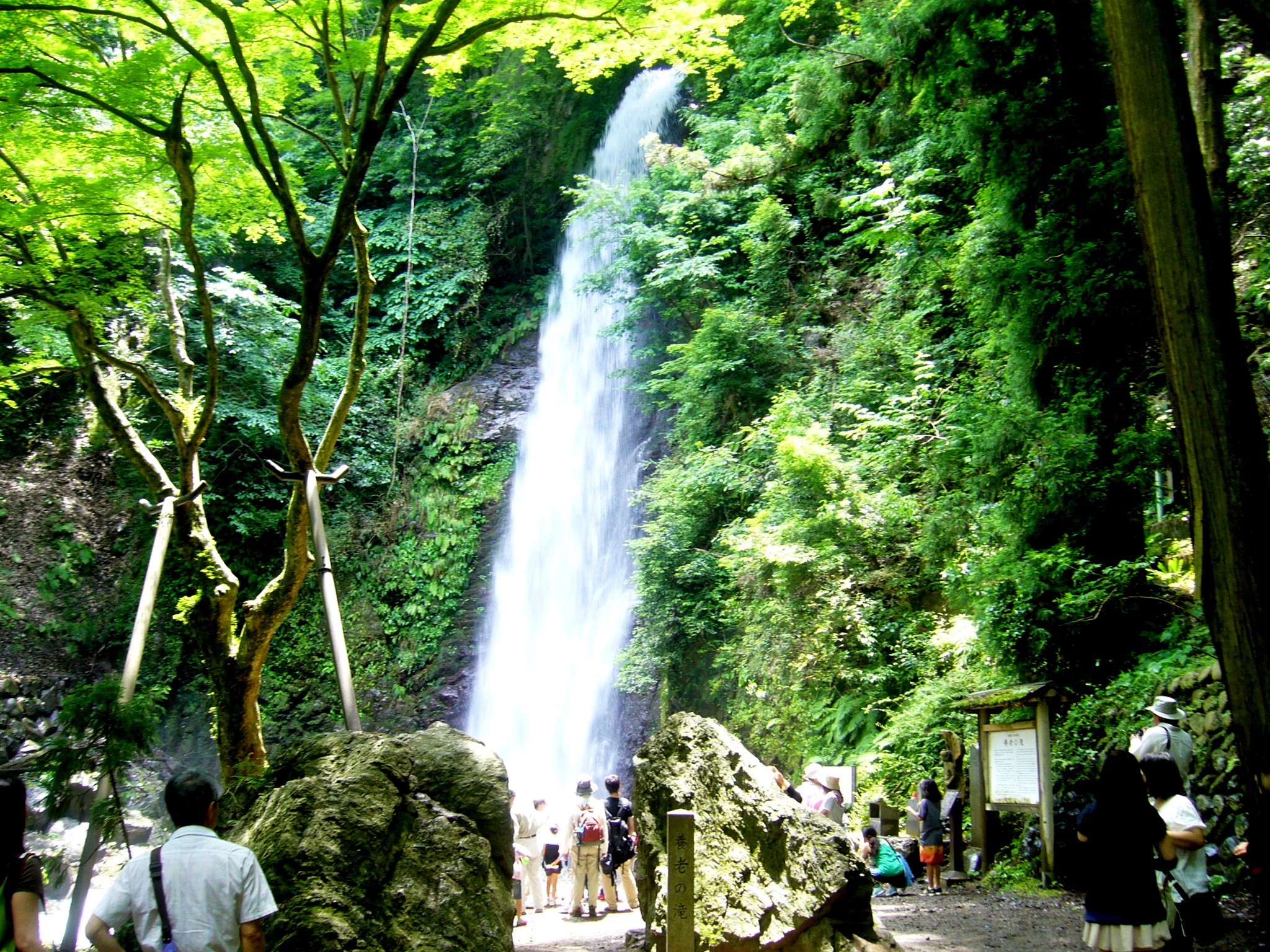 清々しい滝のパワーに癒される!岐阜県養老公園と養老の滝