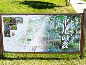 農家レストランと高原都市“佐久”の癒しの森でリフレッシュ