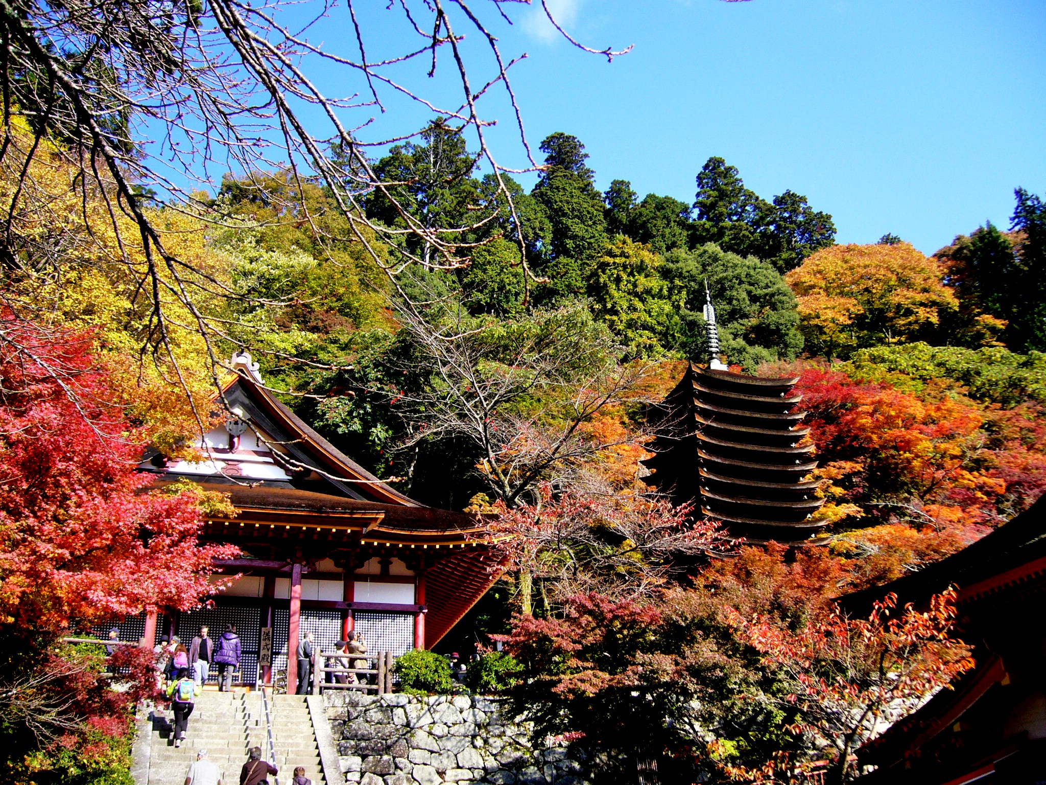 紅葉の旅！奈良多武峰街道で談山神社へ、そして飛鳥の里へ