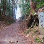 古代ロマン薫る大和の歴史を刻んだ最古の官道・山辺の道/前編