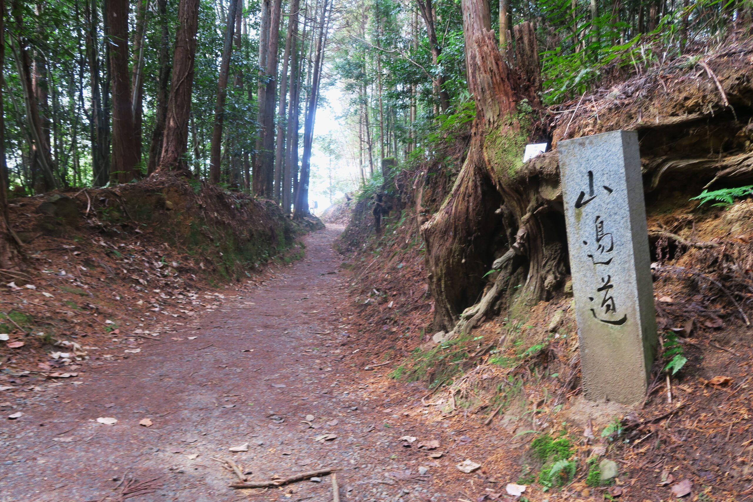 古代ロマン薫る大和の歴史を刻んだ最古の官道・山辺の道/前編