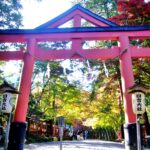 日吉大社で神猿探し！美しい石積みが残る里坊の町“比叡山坂本”