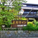 山梨勝沼ぶどう郷！ぶどう畑を縫って個性派ワイナリーを巡る