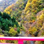山に錦織る秋、信州高山村の松川渓谷を彩る紅葉美と滝を満喫