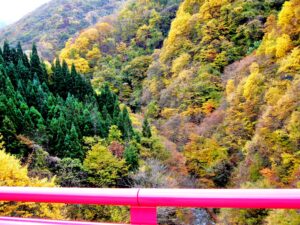 山に錦織る秋、信州高山村の松川渓谷を彩る紅葉美と滝を満喫