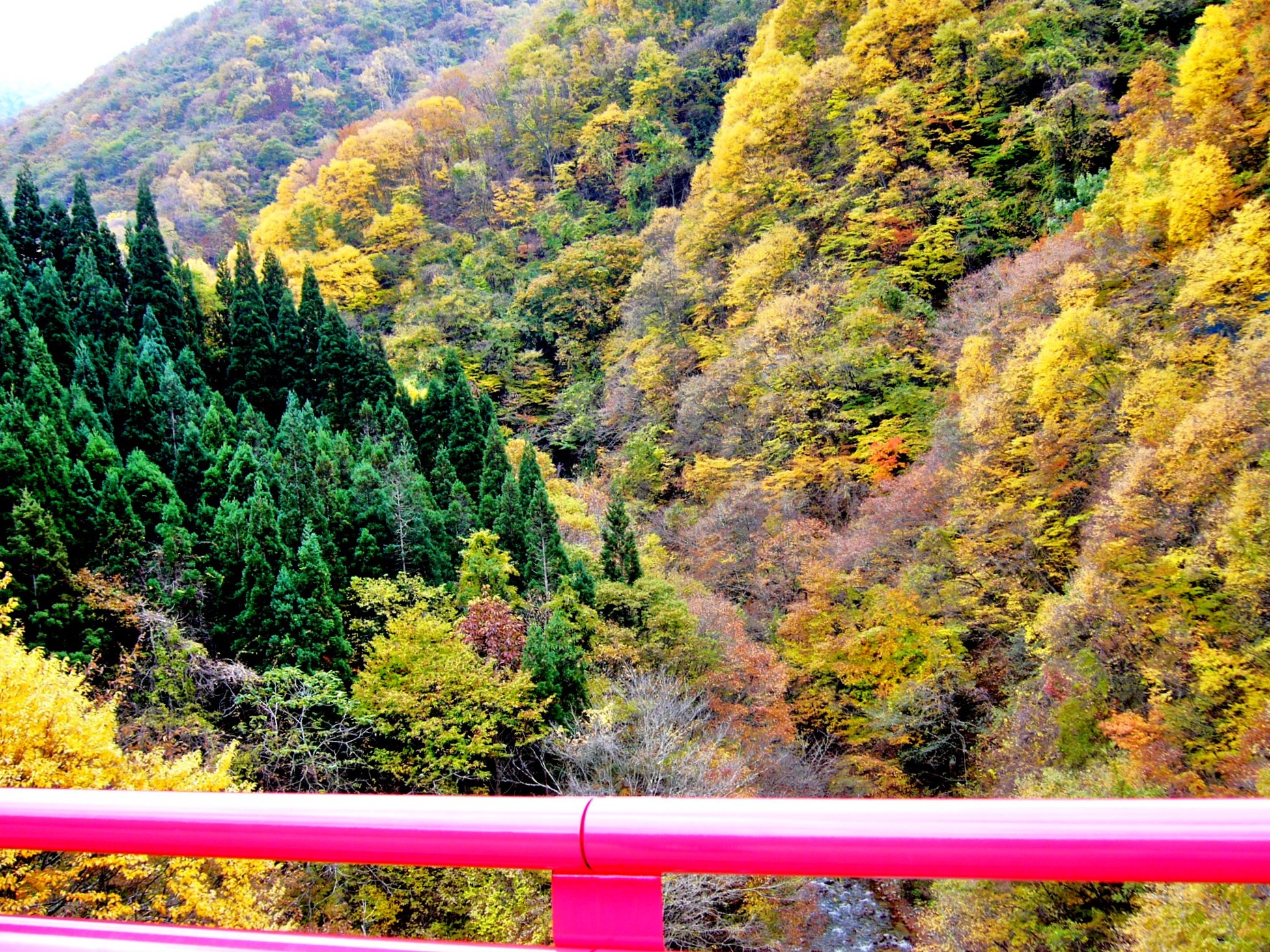 山に錦織る秋、信州高山村の松川渓谷を彩る紅葉美と滝を満喫