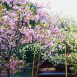 御嶽金櫻神社は金運パワスポ！桜の里に鎮座する金の成る木の金桜