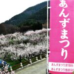 桃色春霞の信州千曲「あんずの里」の春を歴史散歩でお楽しみ