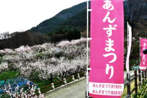桃色春霞の信州千曲「あんずの里」の春を歴史散歩でお楽しみ