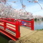 北信濃屈指の須坂の花見処・臥龍公園と里の一本桜にようこそ