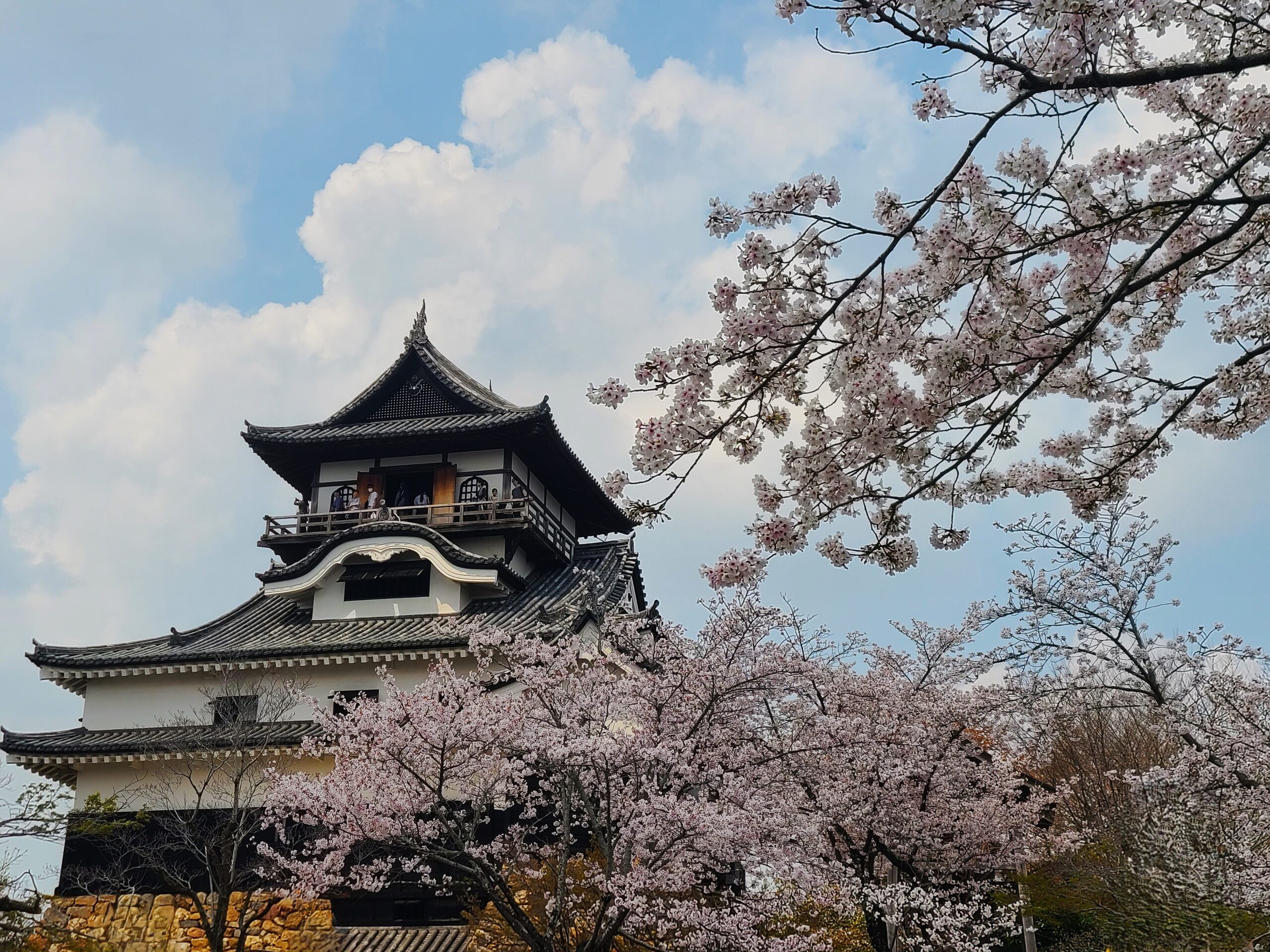 木曽川のほとりに名城あり!串グルメも楽しむ犬山城下町散策