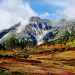 信州白馬「栂池自然園」に広がる色彩美！白・赤・緑の三段紅葉