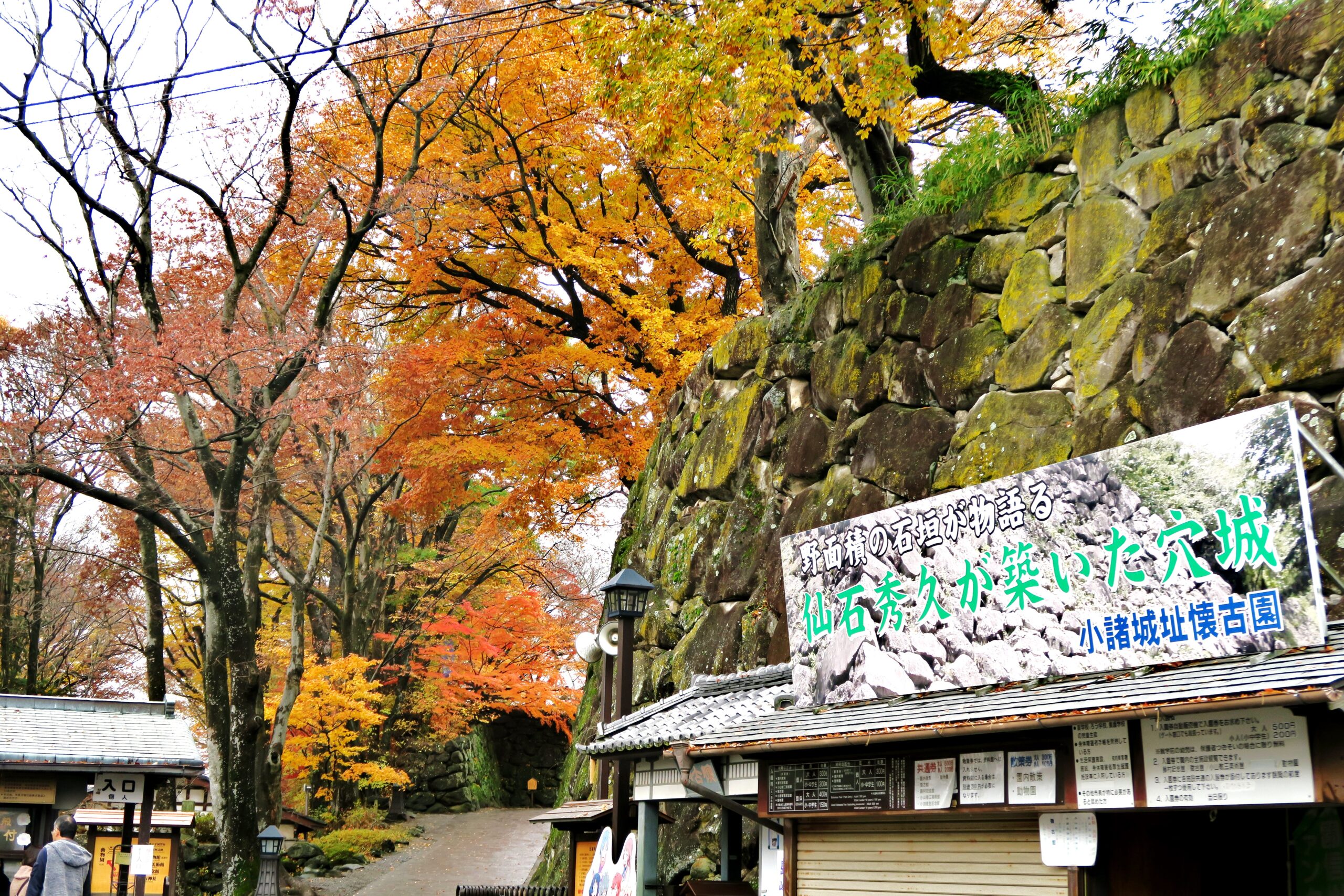 苔むした石垣に紅葉が映える、錦繍の信州小諸城址「懐古園」