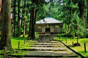 苔に覆われた白山信仰の拠点、白山平泉寺跡に眠る巨大宗教都市