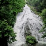 神話や伝承が息づく奥日光の自然に接する戦場ヶ原ハイキング