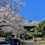 桜に蕎麦に温泉も！甲州塩山に武田信玄ゆかりの名刹をめぐる。