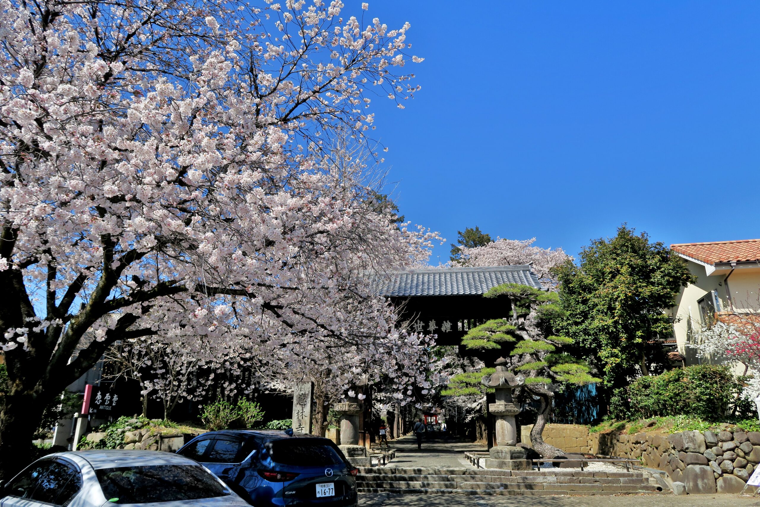 桜に蕎麦に温泉も！甲州塩山に武田信玄ゆかりの名刹をめぐる。