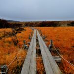 那須・沼ッ原湿原は手軽に楽しめる穴場のハイキングスポット