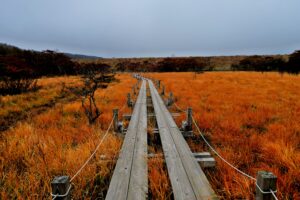 那須・沼ッ原湿原は手軽に楽しめる穴場のハイキングスポット
