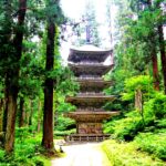 美く厳かな杉並木に迎えられ、霊験あらたかな羽黒山を歩く！