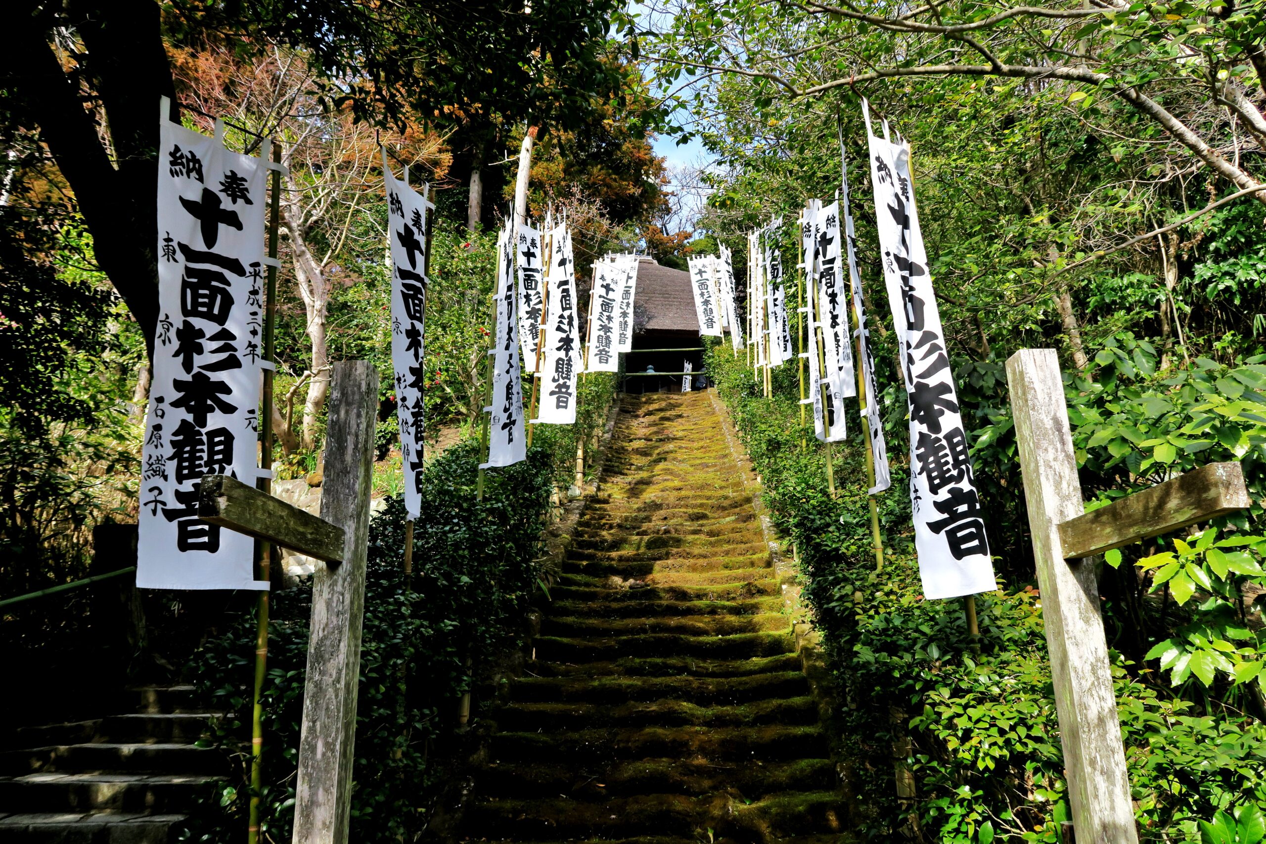 賑わう鶴岡八幡宮から静寂に包まれた金沢街道の名刹を巡る鎌倉旅