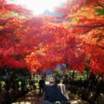紅葉の日本遺産『大山詣り』で大山寺と阿夫利神社の神仏両詣