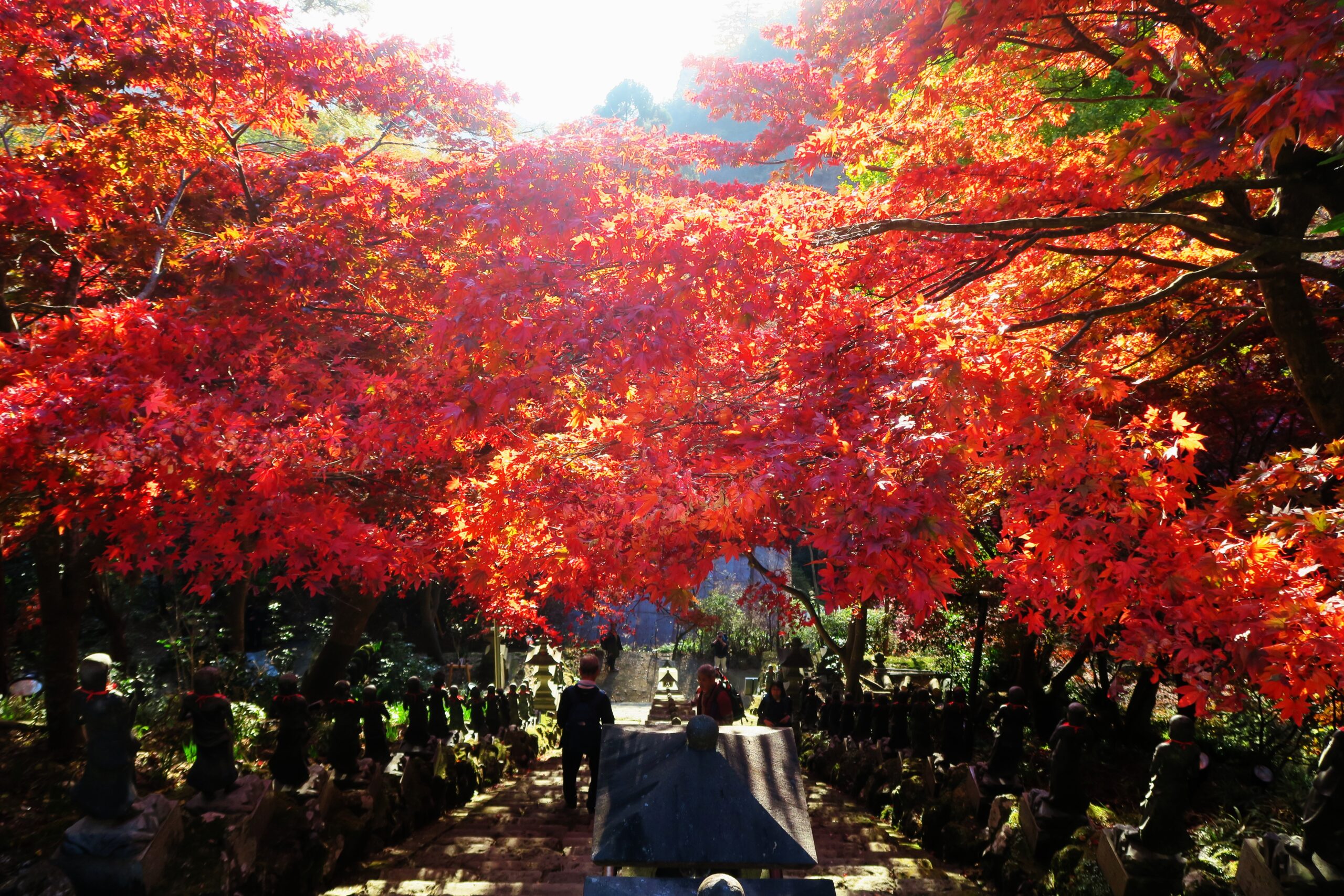 紅葉の日本遺産『大山詣り』で大山寺と阿夫利神社の神仏両詣