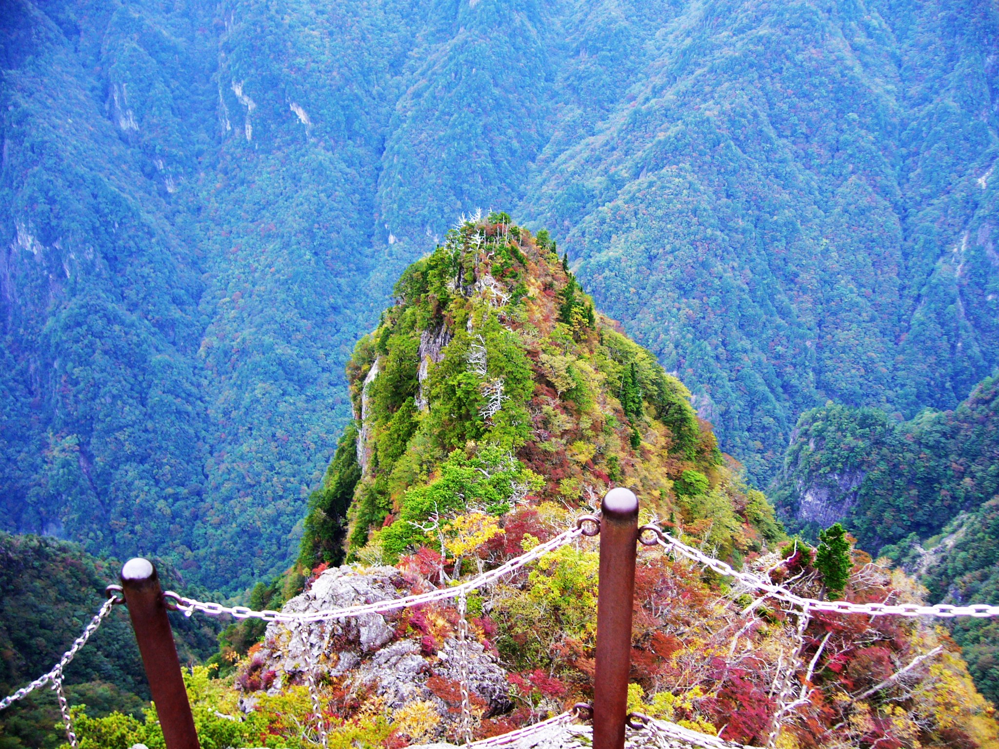 大蛇の背に立つ！関西の秘境・大台ヶ原「東大台コース」