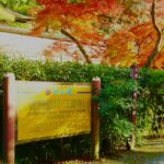 影姫ゆかりの北・山の辺の道を日本酒発祥の地｢正暦寺｣へ