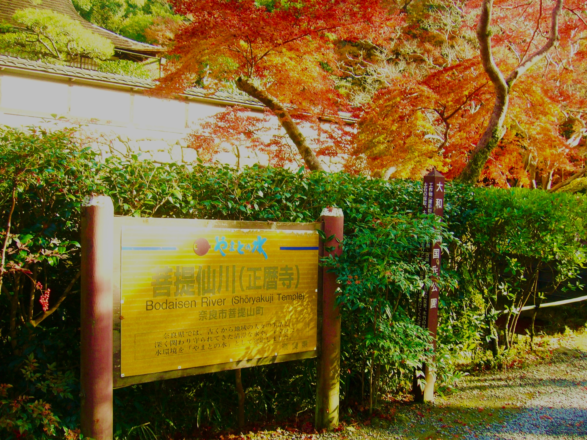 影姫ゆかりの北・山の辺の道を日本酒発祥の地｢正暦寺｣へ