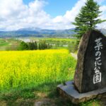 幻の富倉そばを楽しみに菜の花から始まる信州飯山の春の旅
