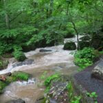 奥入瀬渓流から十和田湖へトレッキング！夏の青森自然満喫の旅