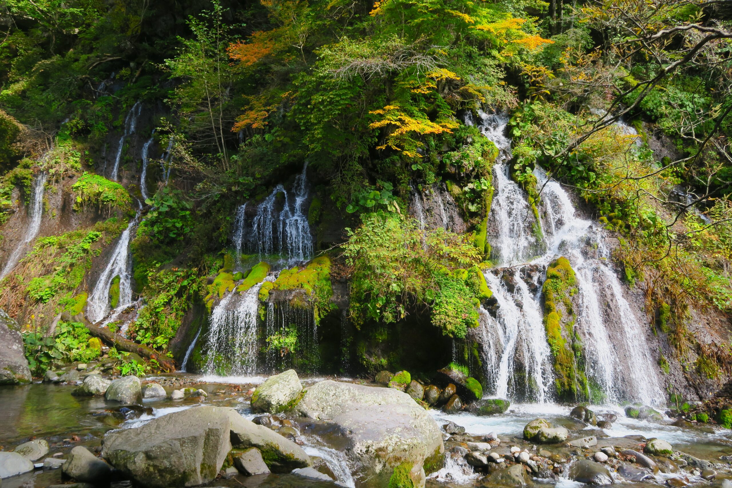 八ヶ岳の清泉と渓谷美を歩く山梨県清里「川俣川東沢渓谷」