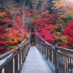 渓谷の吊り橋から眺める紅葉美!箒川沿いの塩原渓谷遊歩道を歩く