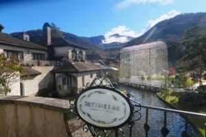 美術館と壮大なススキ草原！アートと自然美が競演する仙石原