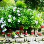 紫陽花に埋もれるお地蔵さんが！万葉の里の古刹・矢田寺へ