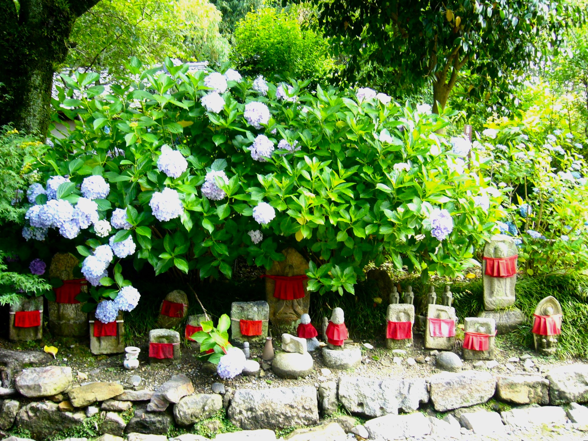 紫陽花に埋もれるお地蔵さんが！万葉の里の古刹・矢田寺へ