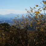 梅が彩る宝登山へ！神話ゆかりの長瀞アルプスハイキング