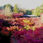 京都随一の紅葉名所・東福寺と重森三玲の庭で秋の京都に感動