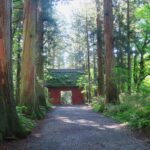 小鳥の囀りに包まれる緑眩しい神話の里戸隠。奥社参道を歩く
