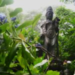 千葉県大多喜町の山奥、妙法生寺天拝園は天空のアジサイ園