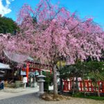 北関東の知られざる信仰の聖地へ!太平山神社と出流山満願寺