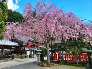 北関東の知られざる信仰の聖地へ！太平山神社と出流山満願寺