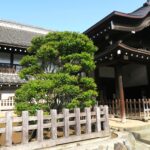 殿様が住んだのはこちら!“御殿のある城”川越城下町を歩く