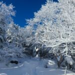 雪山初心者が挑む蓼科山は、美しい樹氷と八ヶ岳ブルーの絶景