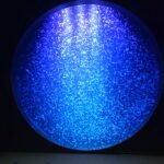 山形・鶴岡でクラゲに癒され、庄内の伝統野菜を堪能する。