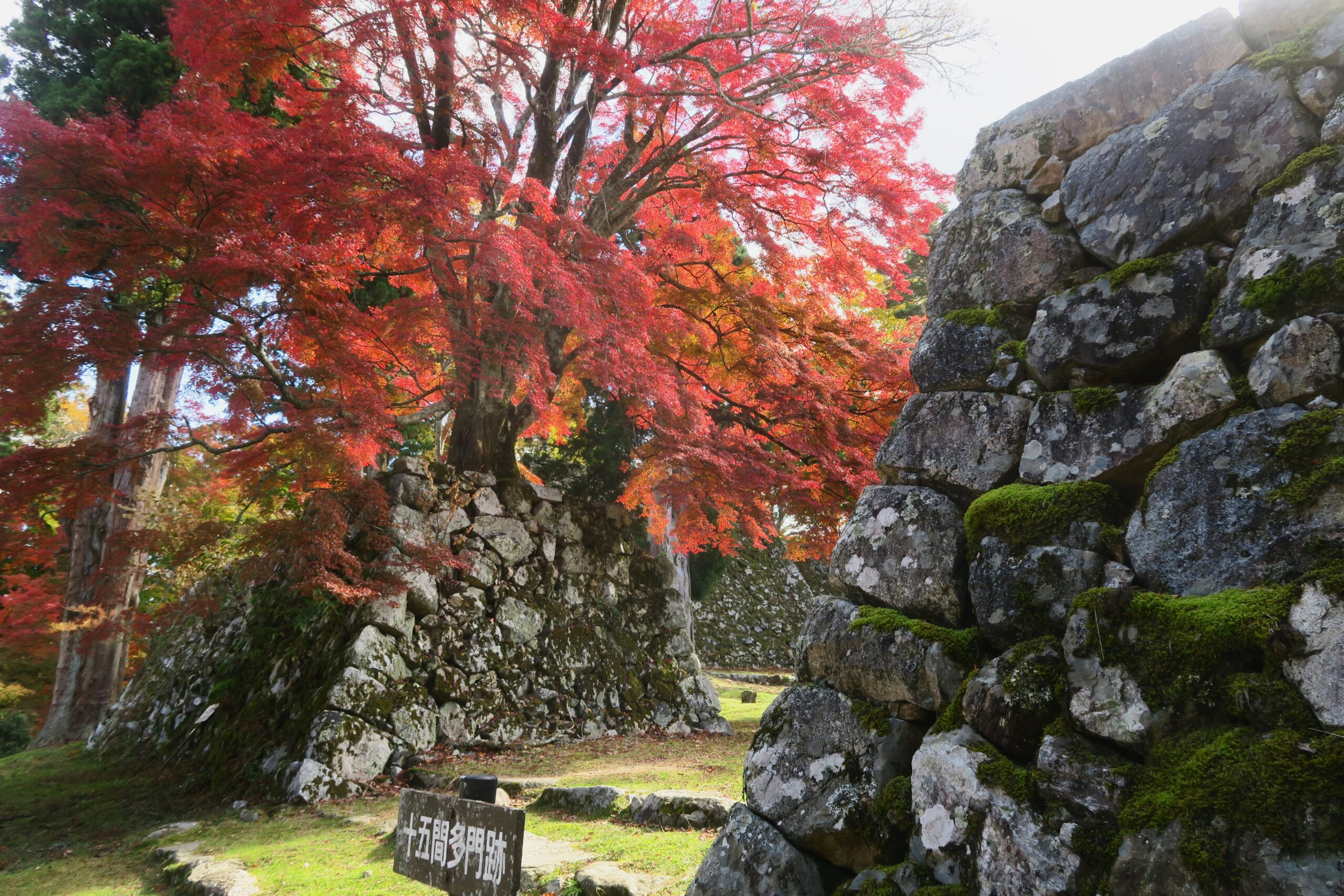 高低差日本一の山城登山に挑む！日本三大山城“大和高取城”