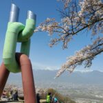 信州安曇野の桜咲く光城山から長峰山へ駅からトレッキング
