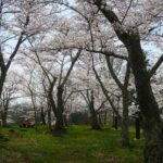 名物を味わい、枝垂れ桜の名木が彩る城下町三春をそぞろ歩く